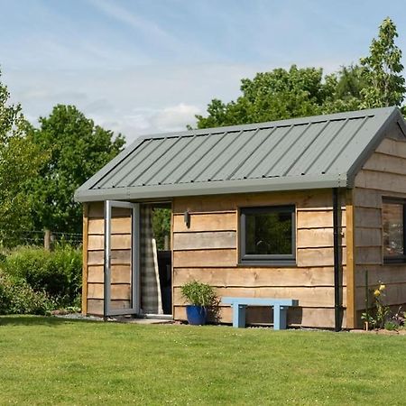 La'Al Cabin, Tiny Home, Unique Space Eden Valley Cumbria ブランプトン エクステリア 写真