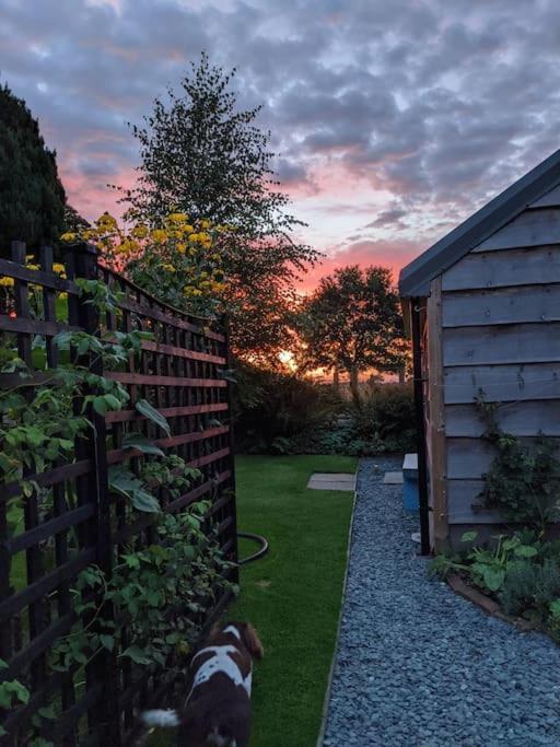 La'Al Cabin, Tiny Home, Unique Space Eden Valley Cumbria ブランプトン エクステリア 写真